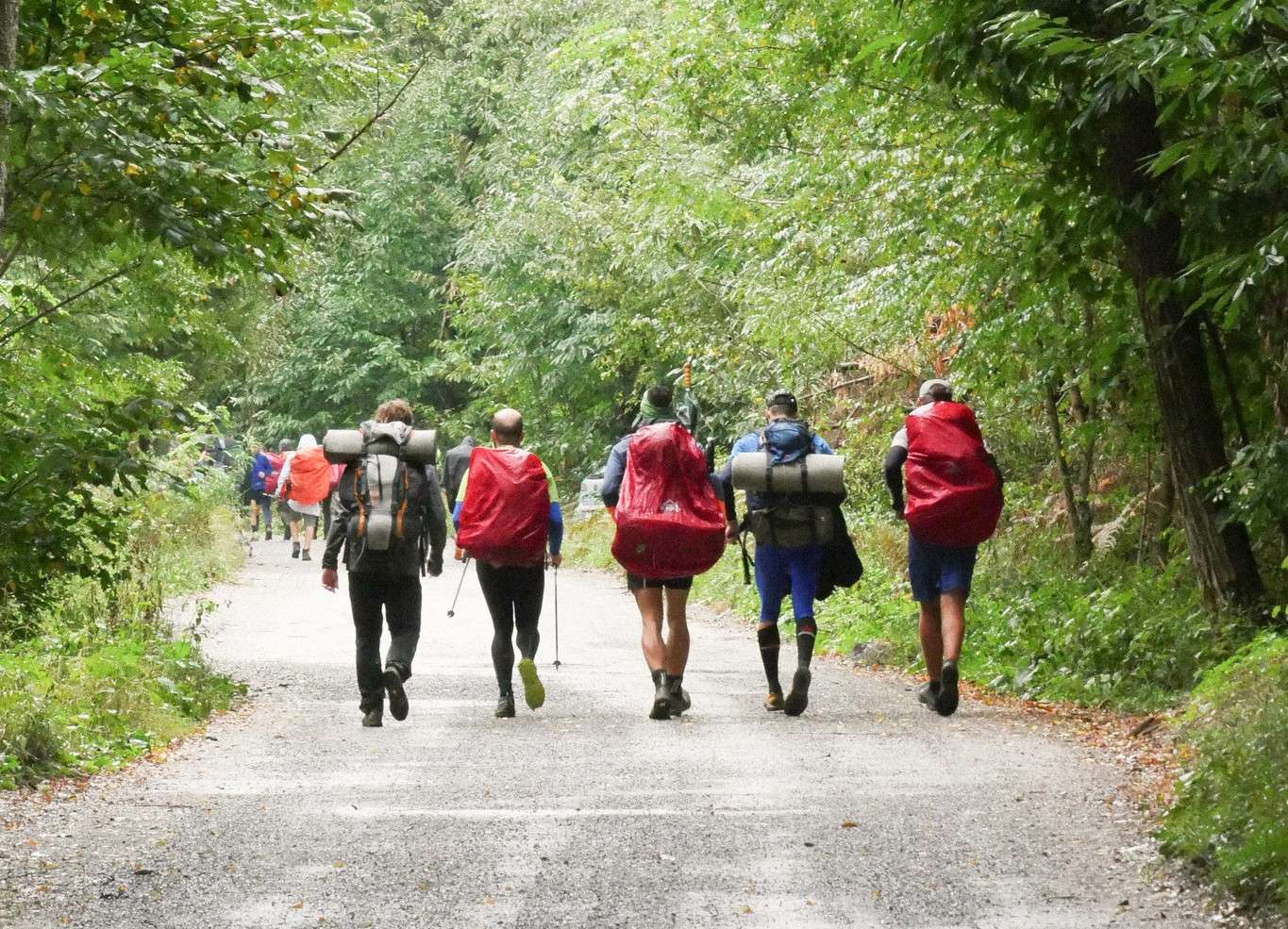 Skupaj na Slavnik – pohod (za)vedno tabornikov
